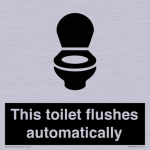 This toilet flushes automatically